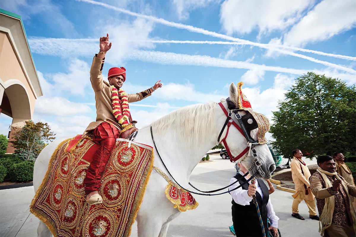 BB_Patel-horse